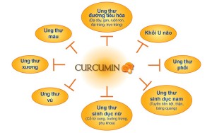 cong-dung-curcumin