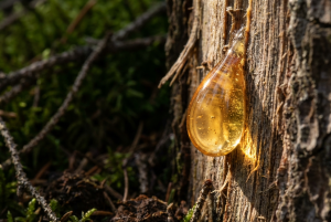 Practical Aromatherapy series 01-yeutinhdau