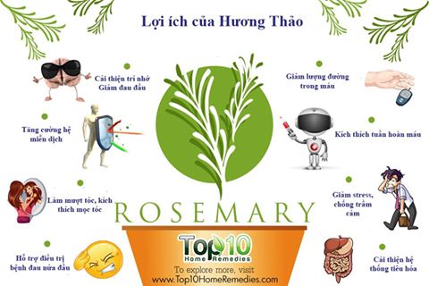 loi-ich-cua-tinh-dau-huong-thao