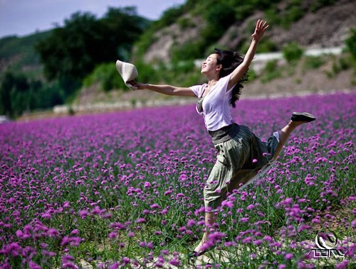 Tinh Dầu Oải Hương Và Những Lợi Ích Cho Sức Khỏe