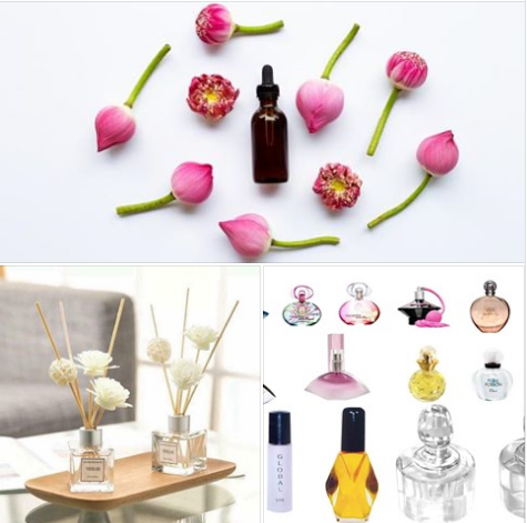 Phân Biệt Nước Hoa & Tinh Dầu Thơm
